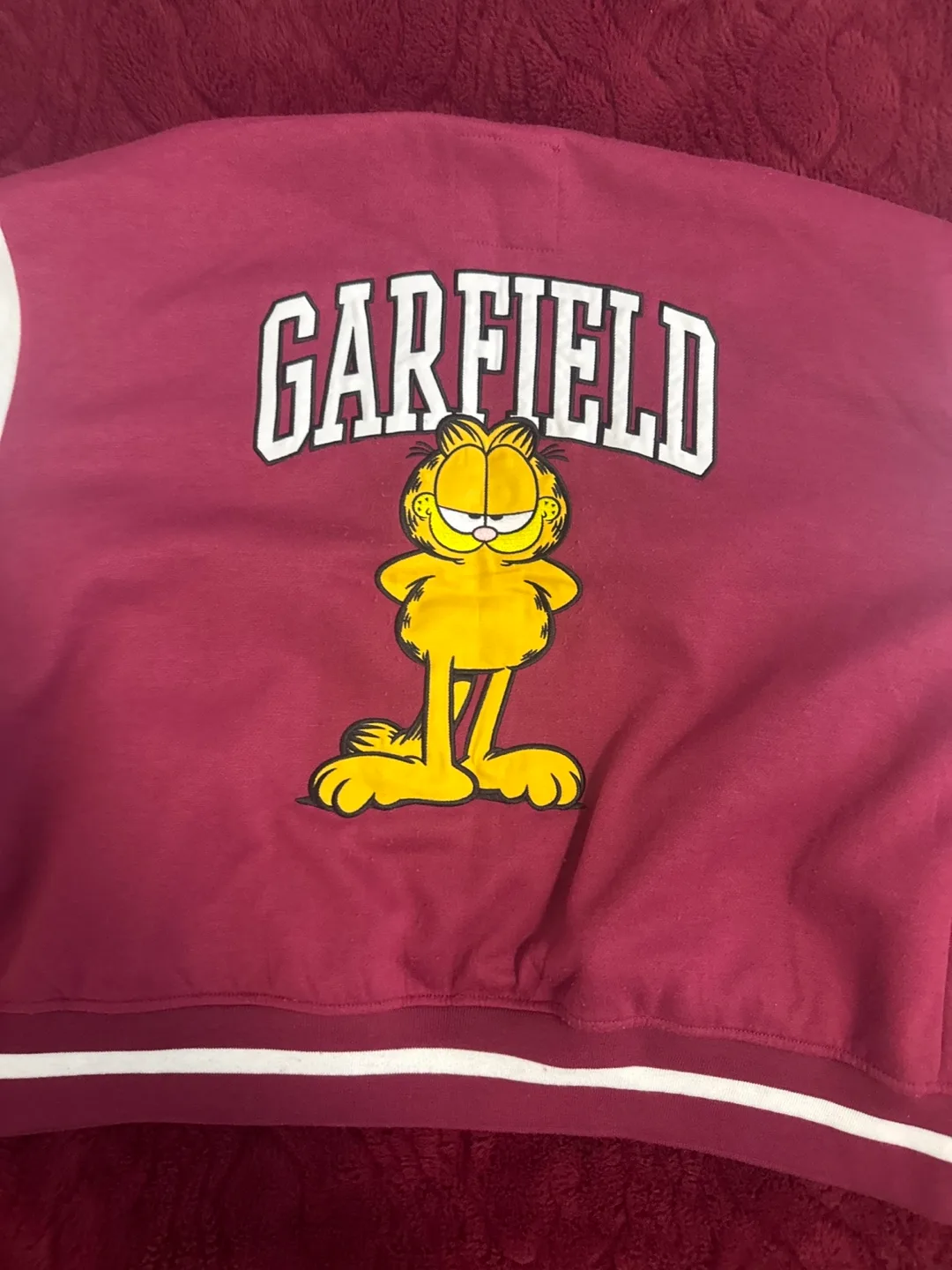 Garfield Varsity Jacket - Size L/G image indicator(6)