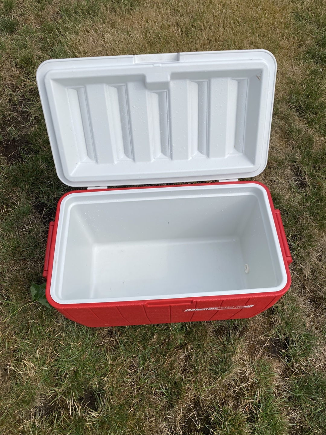Coleman PolyLite 48 Cooler - photo 2