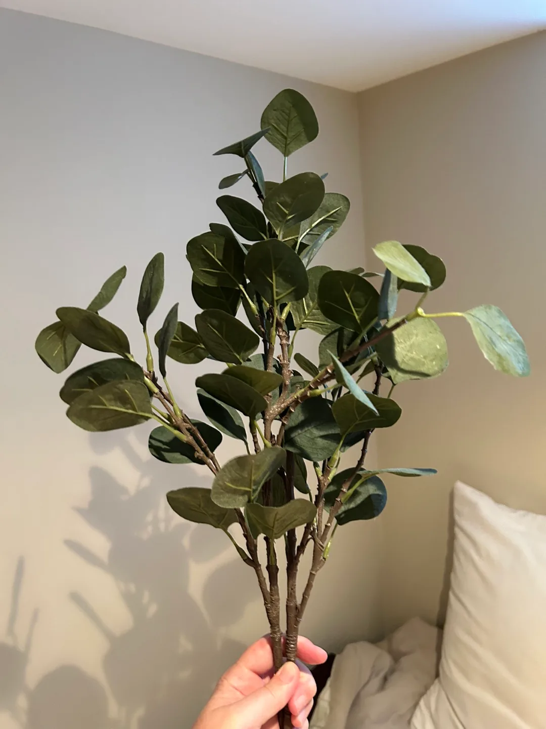 Eucalyptus Stems, fake thumbnail