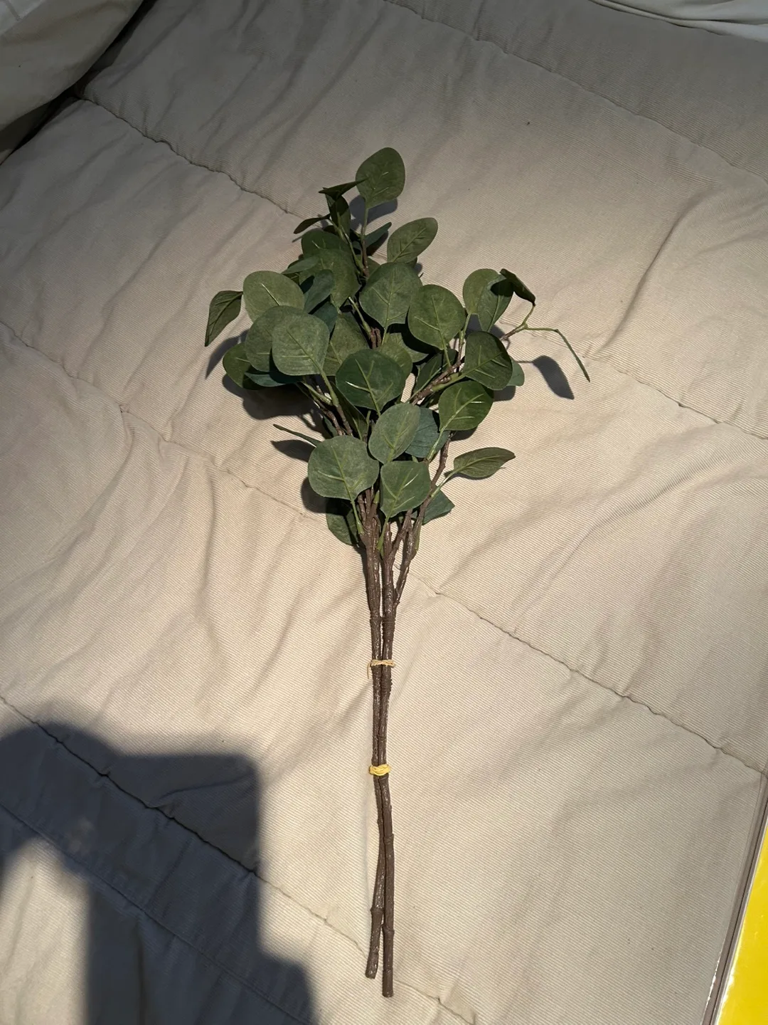 Eucalyptus Stems, fake image indicator(2)