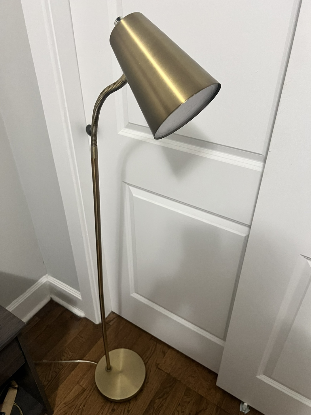 Gold Adjustable Floor Lamp