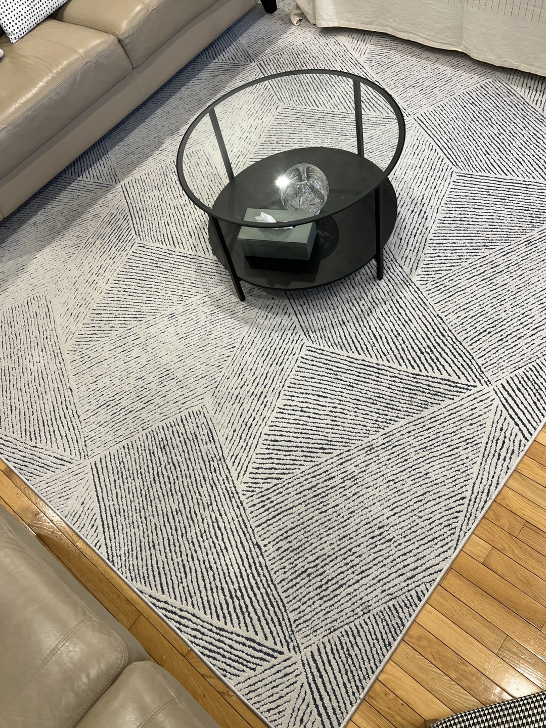 Area Rug - Family/Living Room - photo 2