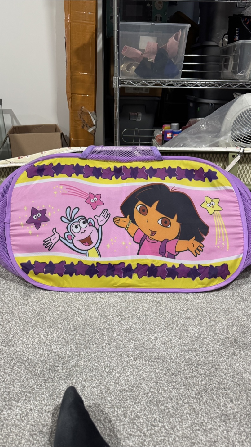 Dora the Explorer Pop-Up Hamper
