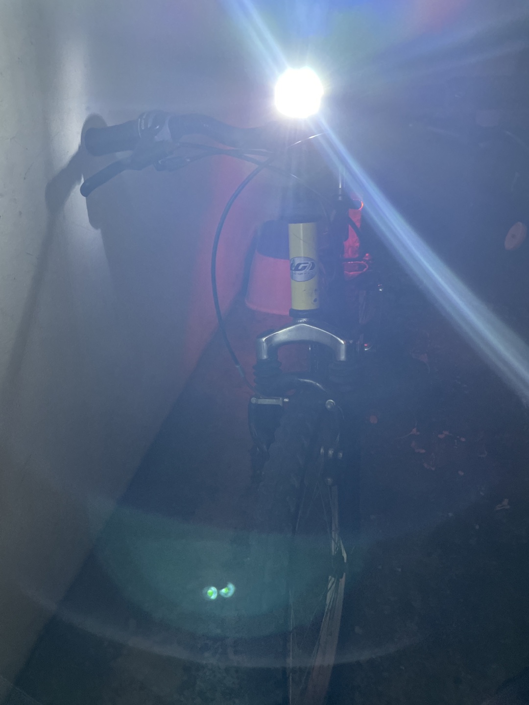 Louis Garneau Grunge Kids' Bike - photo 4