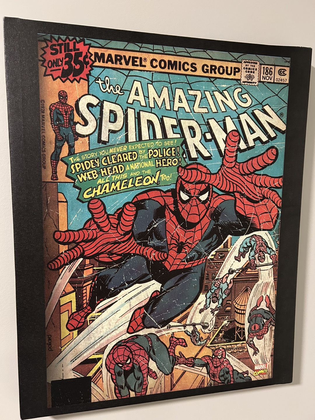 The Amazing Spider-Man Canvas Print