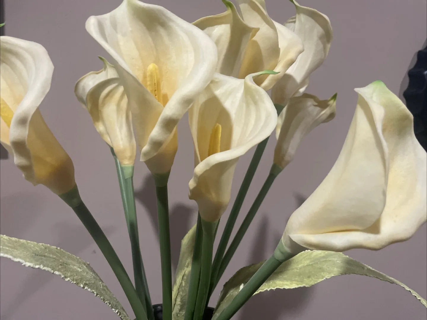 Decorative Vase image indicator(3)