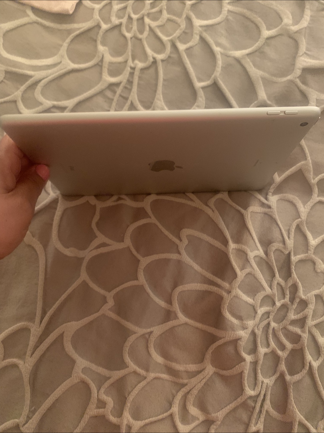 Apple iPad - photo 3