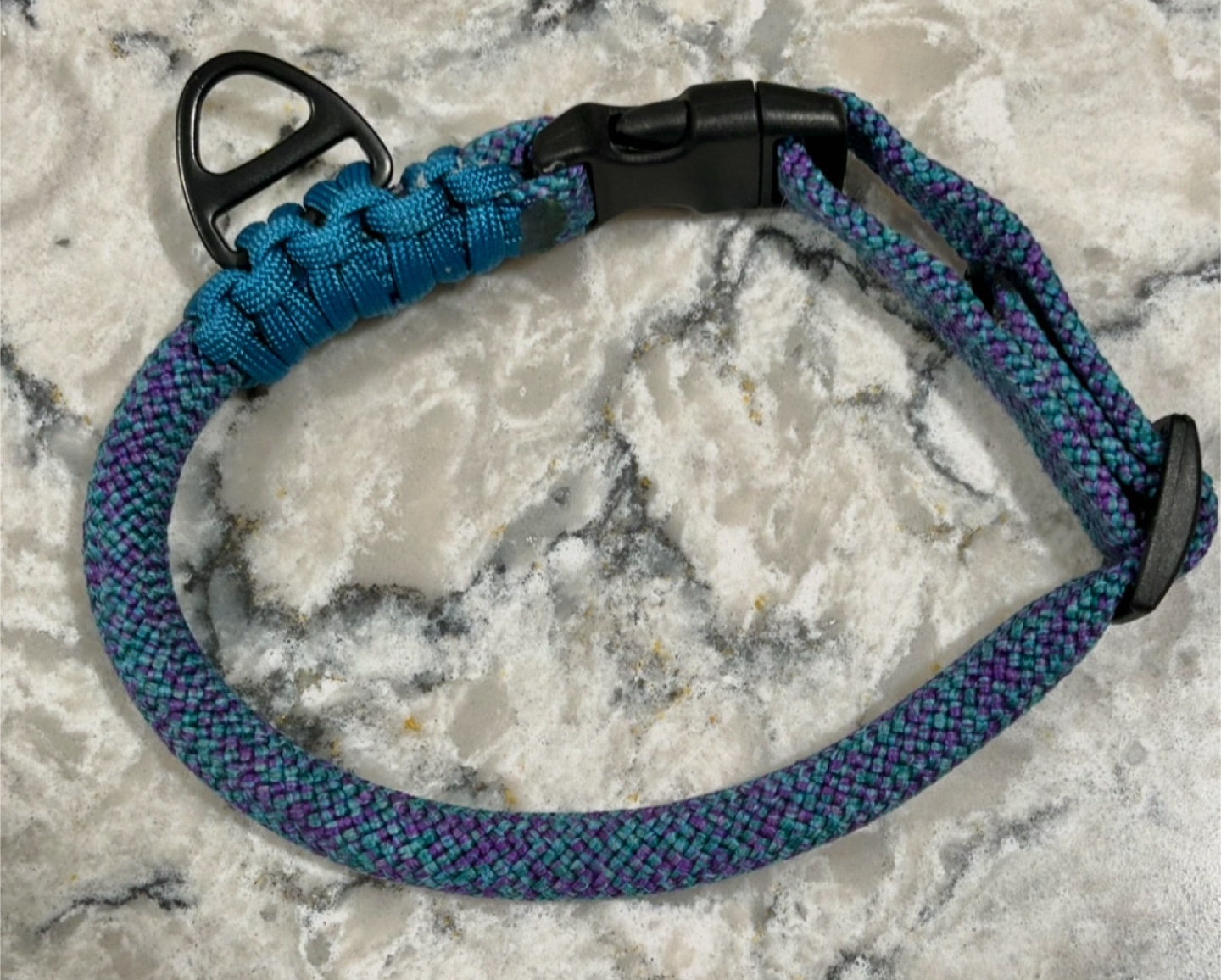 Dog Clip Collars (Size Smalls)