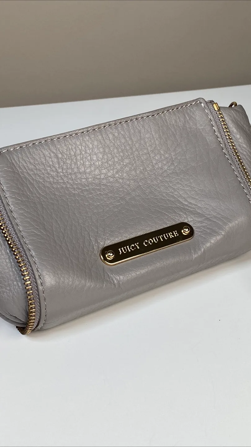 Rare Vintage Juicy Couture Grey Leather Crossbody Bag image indicator(2)