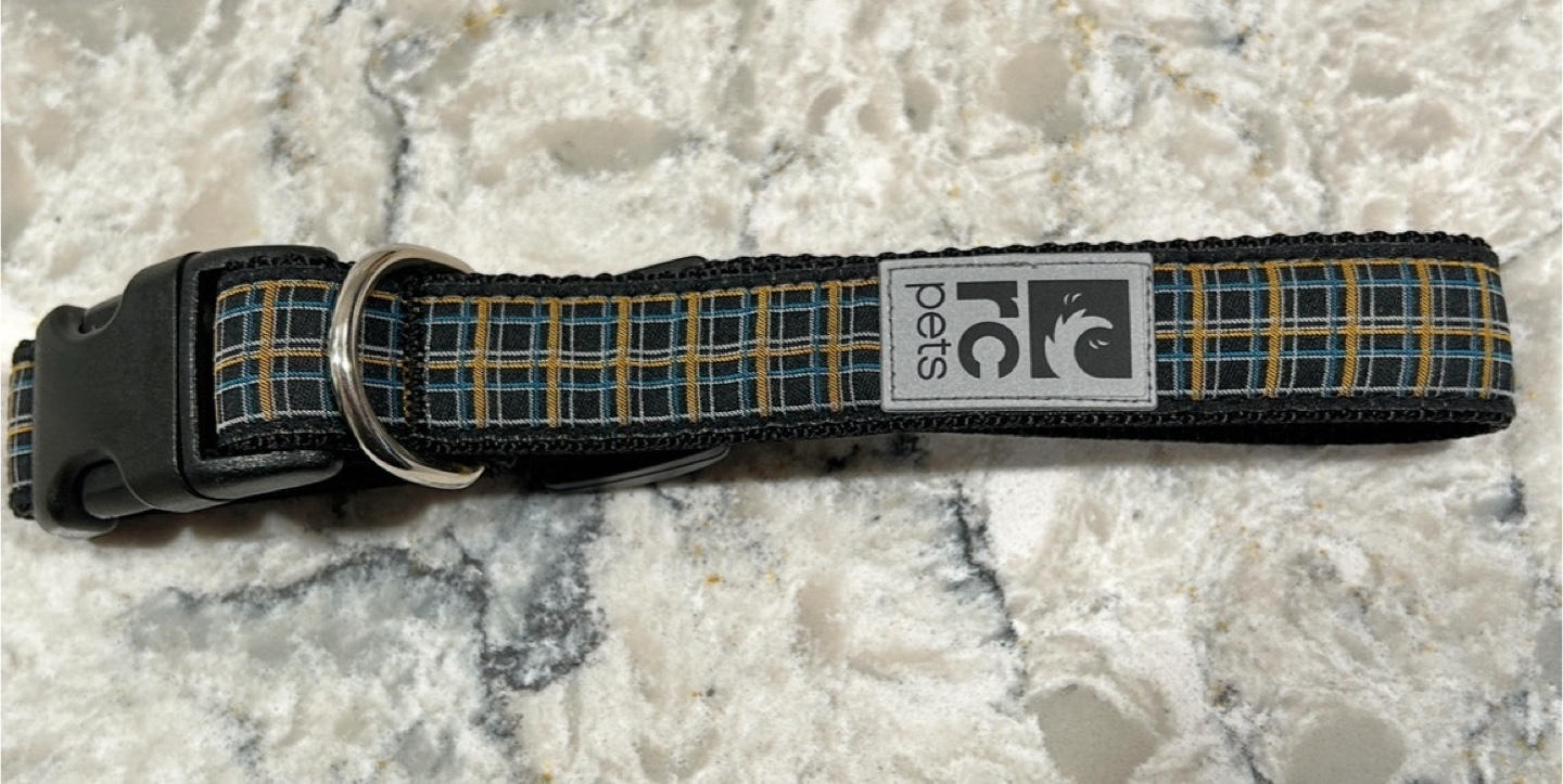 RC Pets Dog Clip Collars (Mediums)($8 each) - photo 2