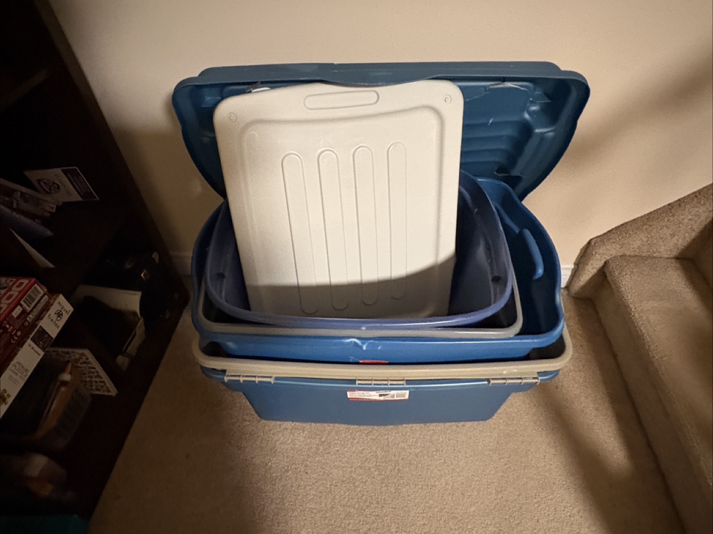10 Storage Totes