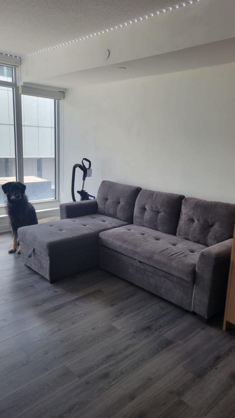 Grey Sectional Sofa with Ottoman - photo 3