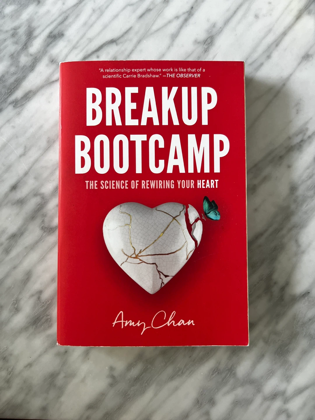 Breakup Bootcamp by Amy Chan