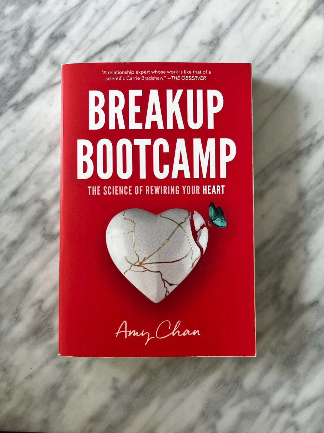 Breakup Bootcamp by Amy Chan thumbnail