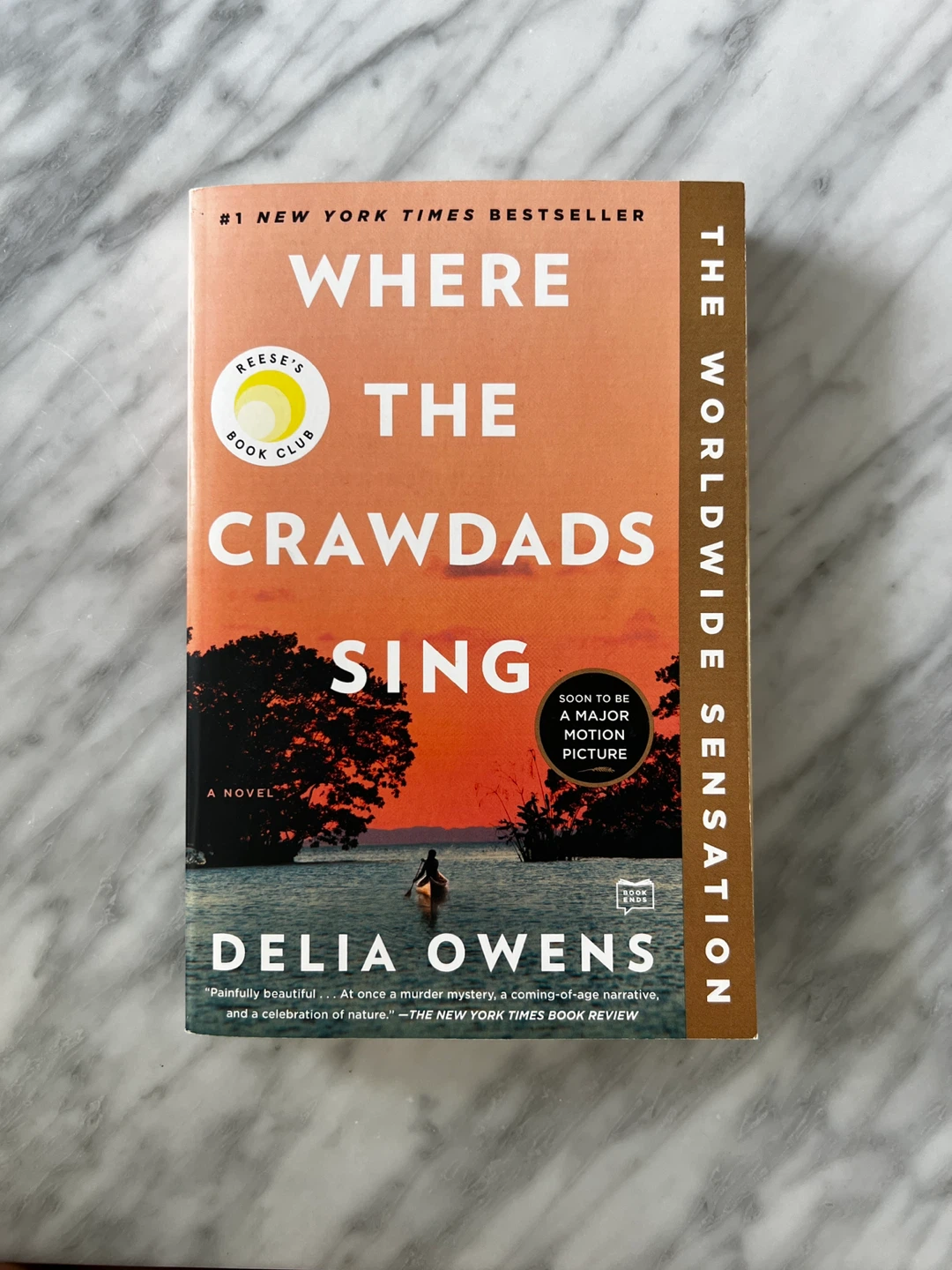 Where the Crawdads Sing by Delia Owens