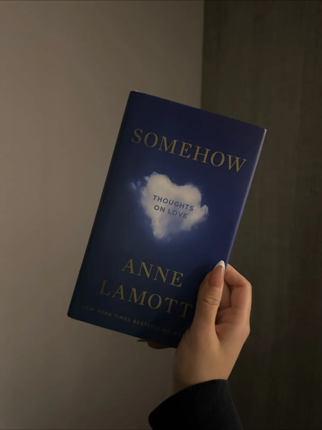 Somehow Thoughts on Love by Anne Lamott thumbnail