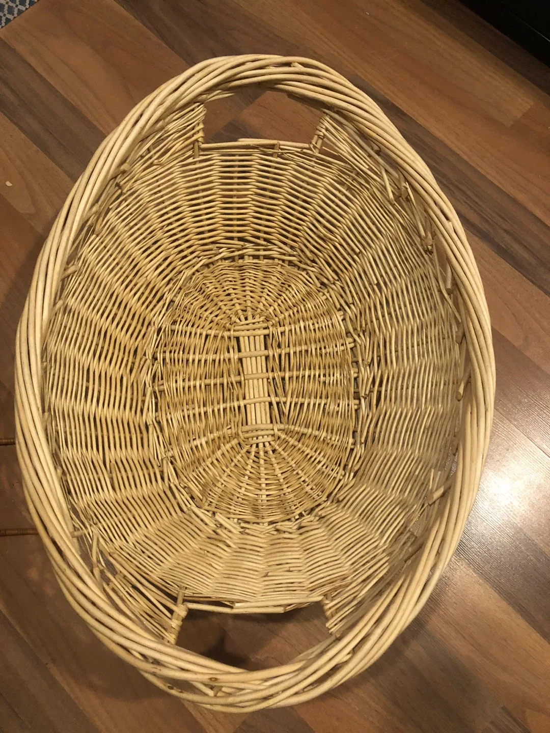 Giant Basket 🥕