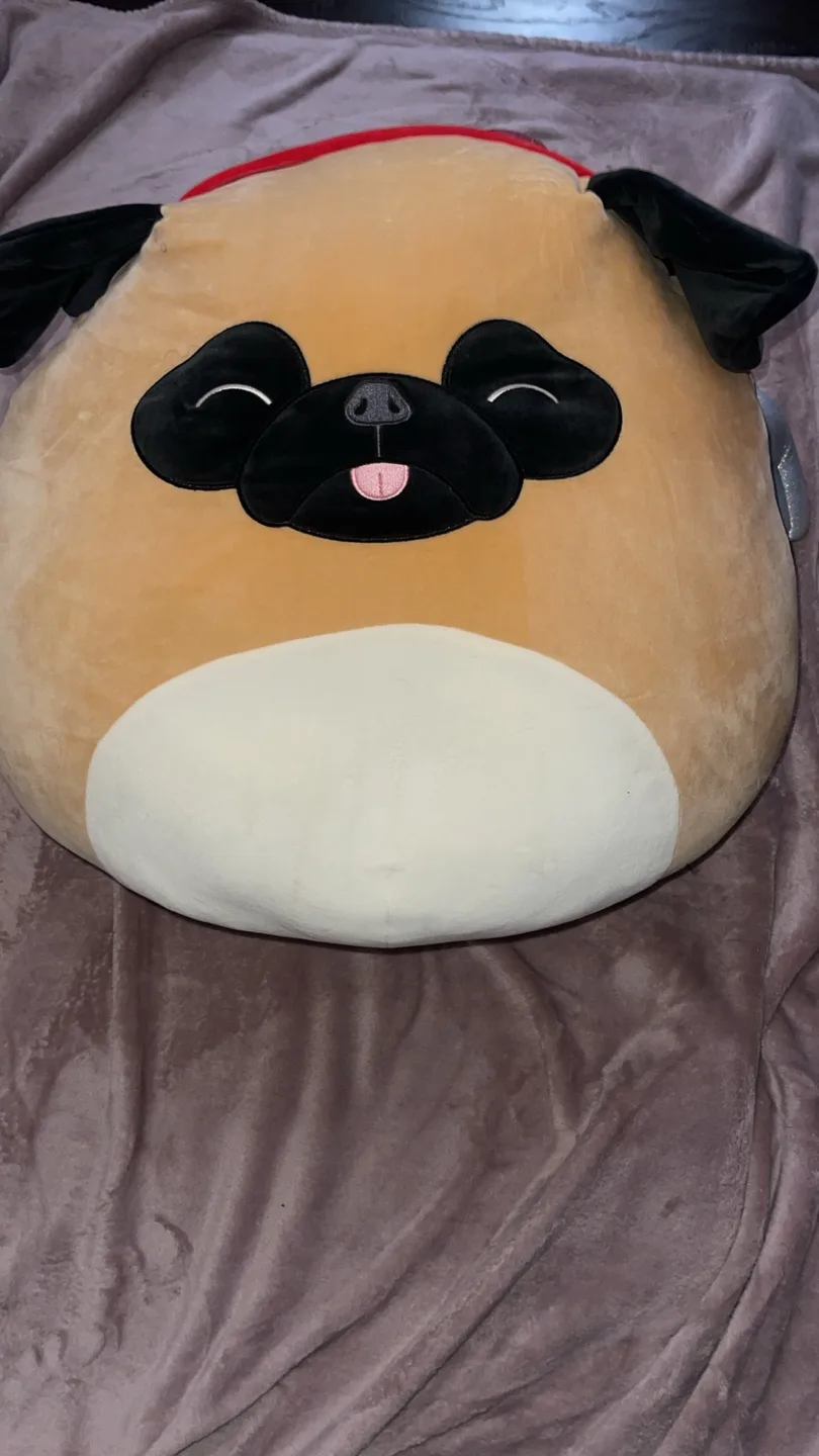 Squishmallows Pam the Pug Plush thumbnail