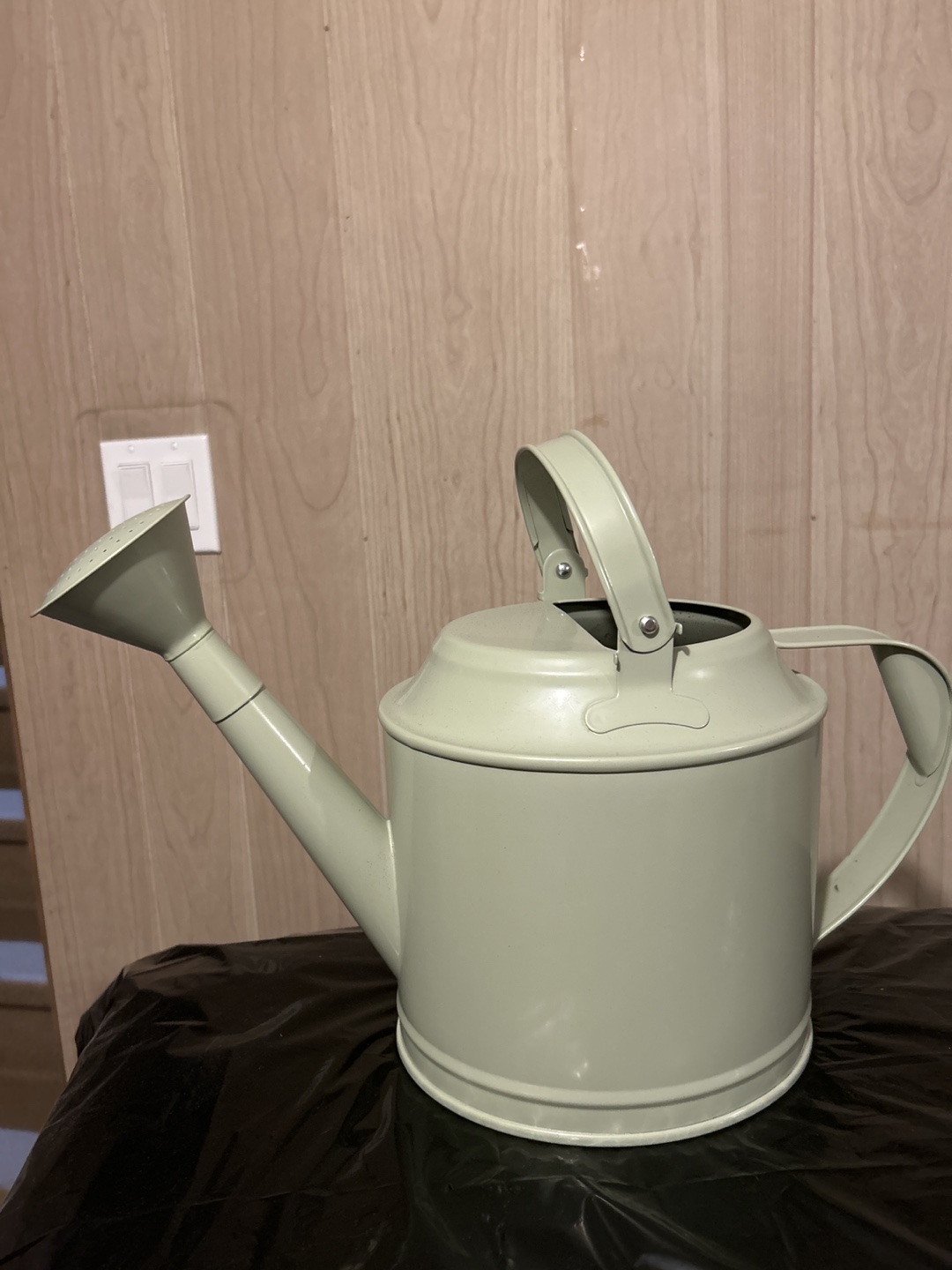 Ikea Vattenkrasse Watering Can - Light Green