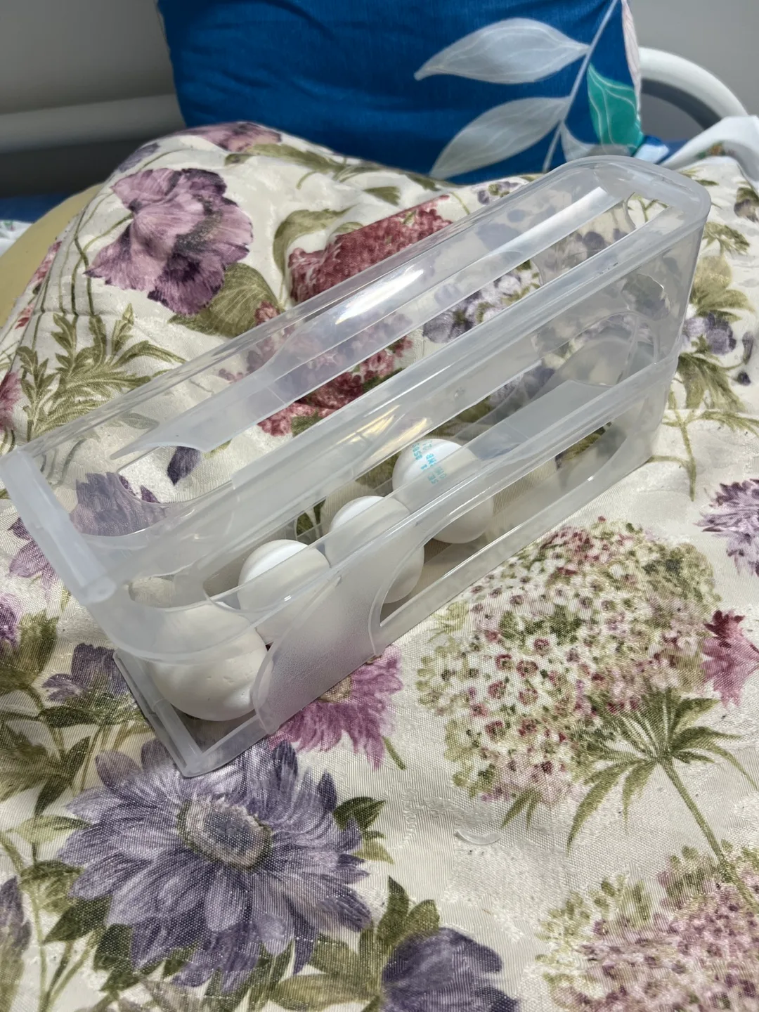 Egg Storage Container thumbnail