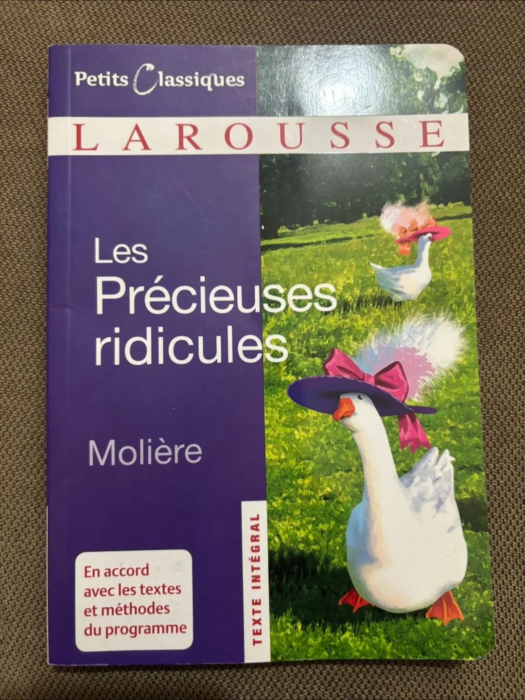 Les Précieuses Ridicules - Molière thumbnail