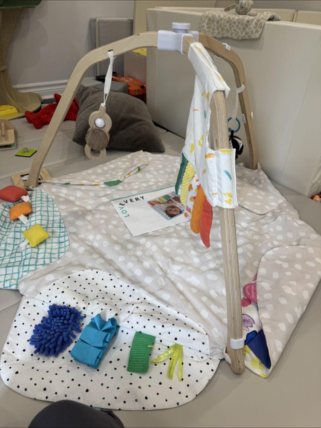 Lovevery Play Gym