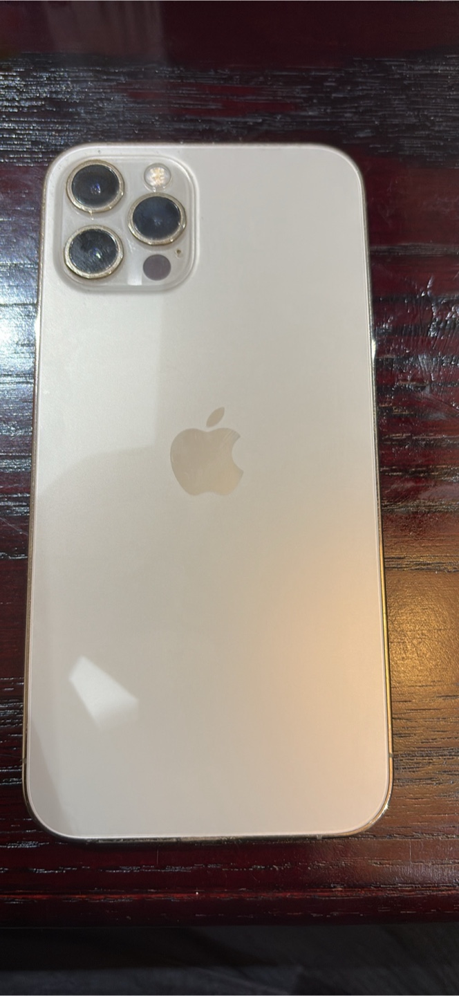 iPhone 12 Pro - photo 4