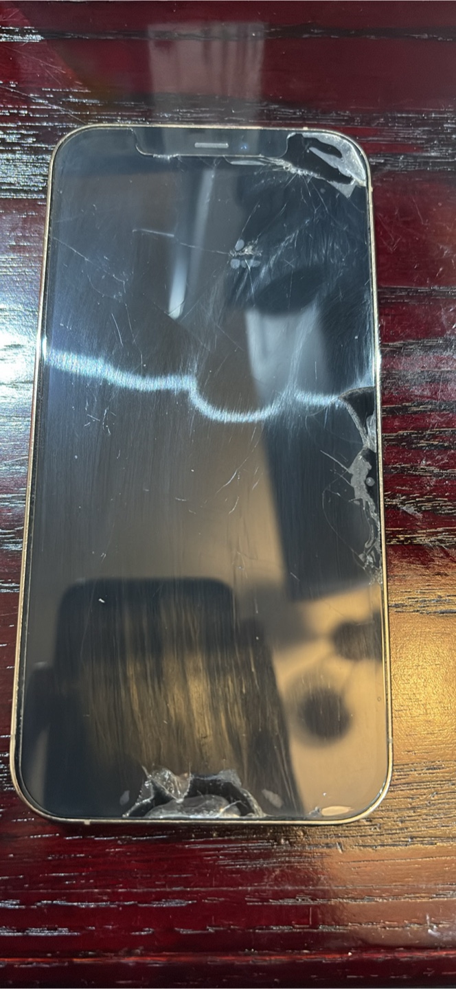iPhone 12 Pro - photo 3
