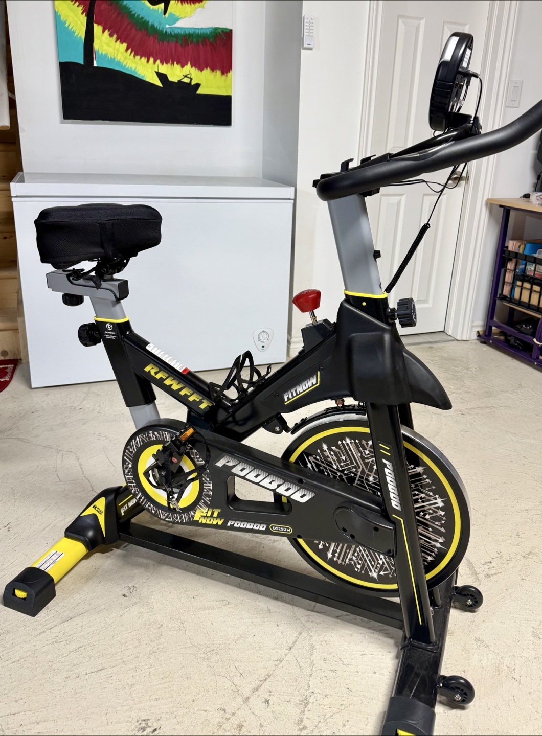 Pooboo DS250DM Stationary Exercise Bike