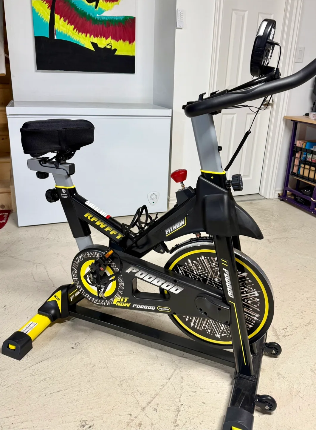 Pooboo DS250DM Stationary Exercise Bike thumbnail