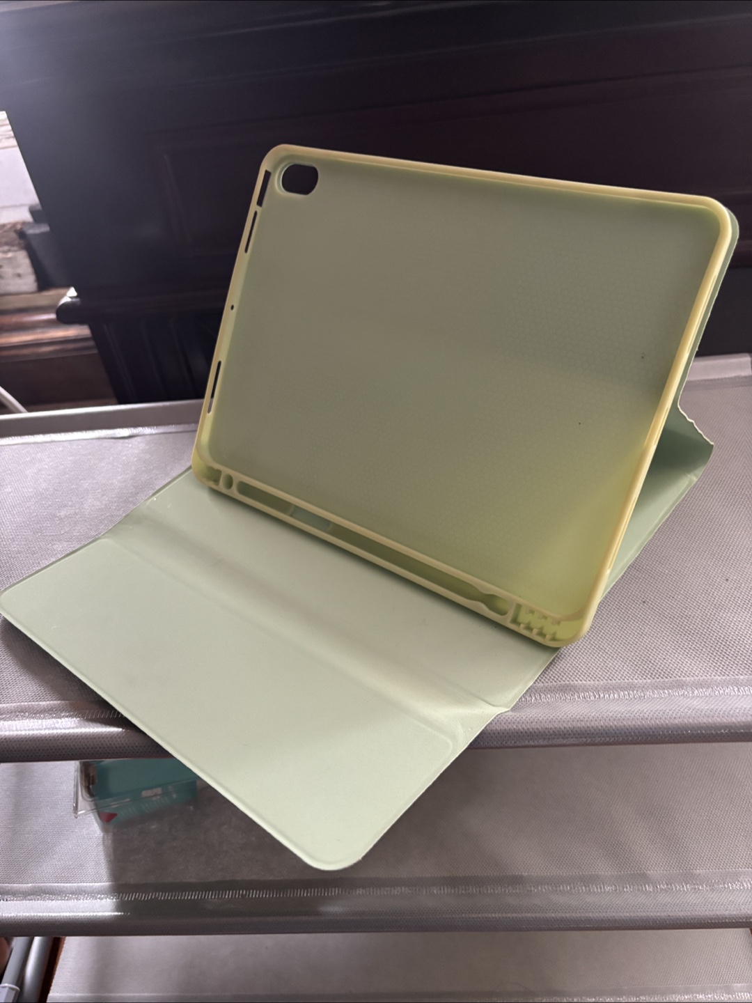 iPad Air Case Light Green