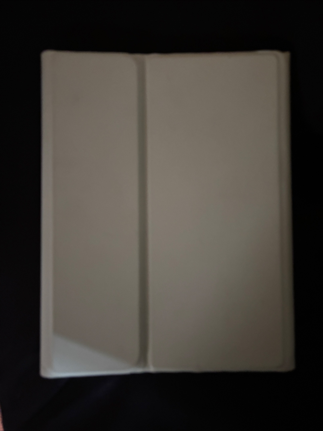 iPad Air Case Light Green - photo 3