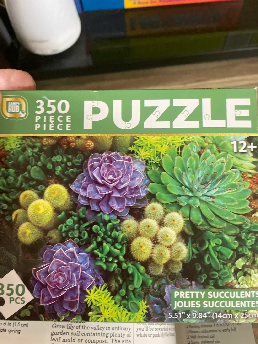 Games Hub 350 Piece Succulents Puzzle - New thumbnail