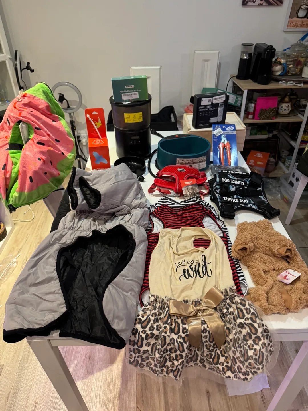 Garaje sale hurry up image indicator(7)