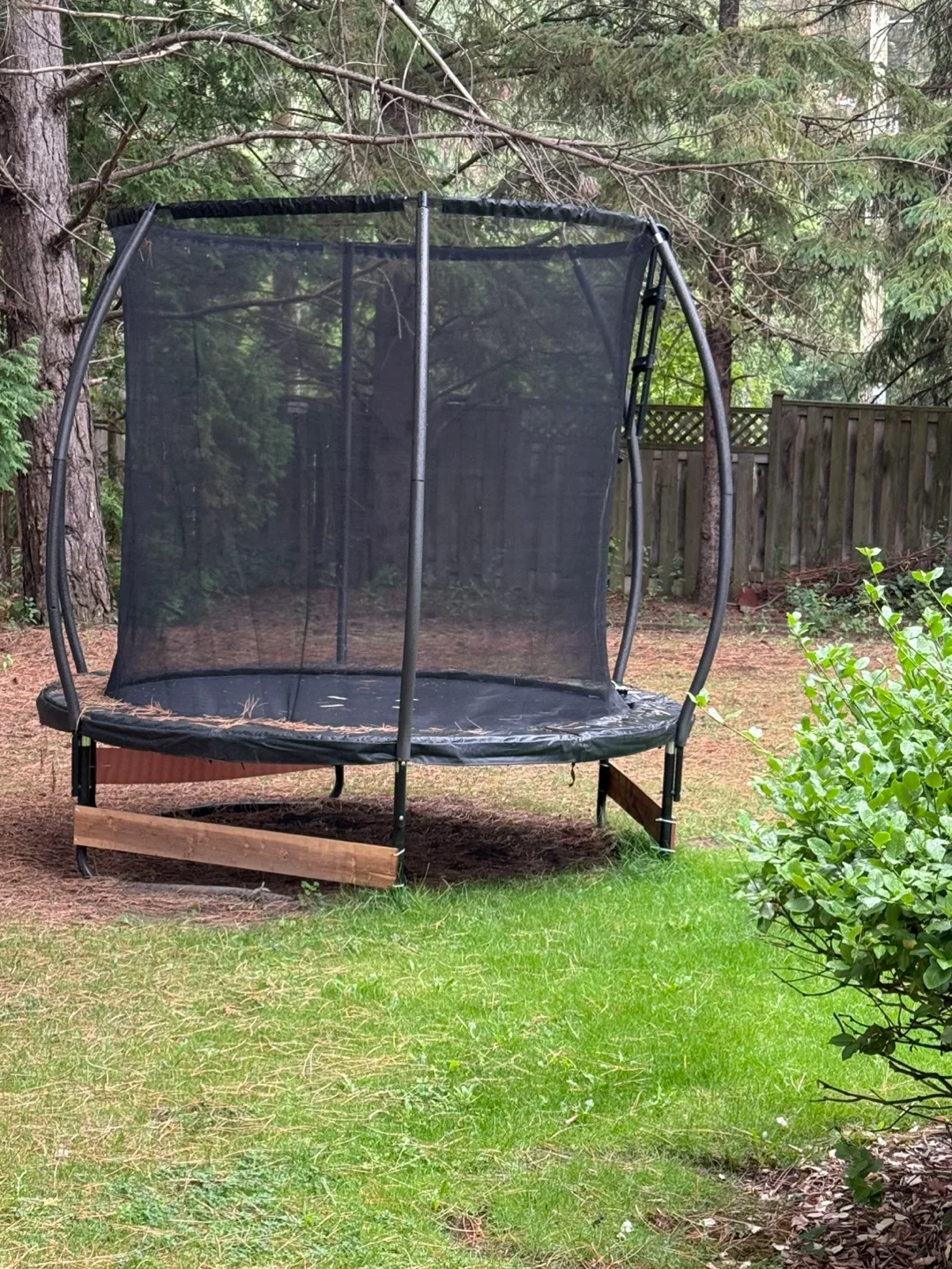 Trampoline thumbnail