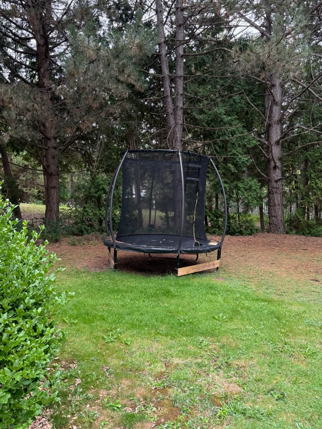 Trampoline image indicator(2)