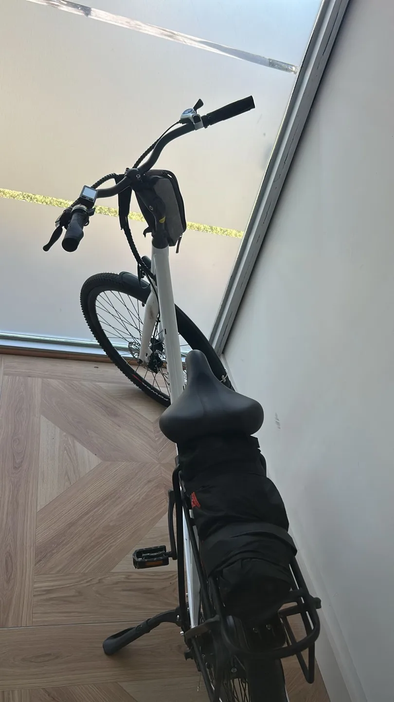 New Wolff E-Bike - White image indicator(5)