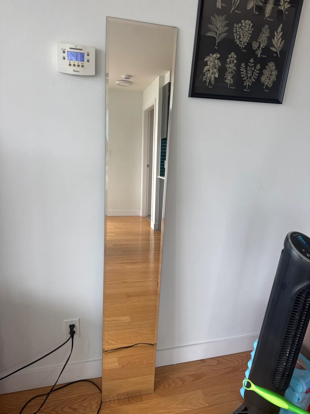 Full Length Mirror image indicator(4)