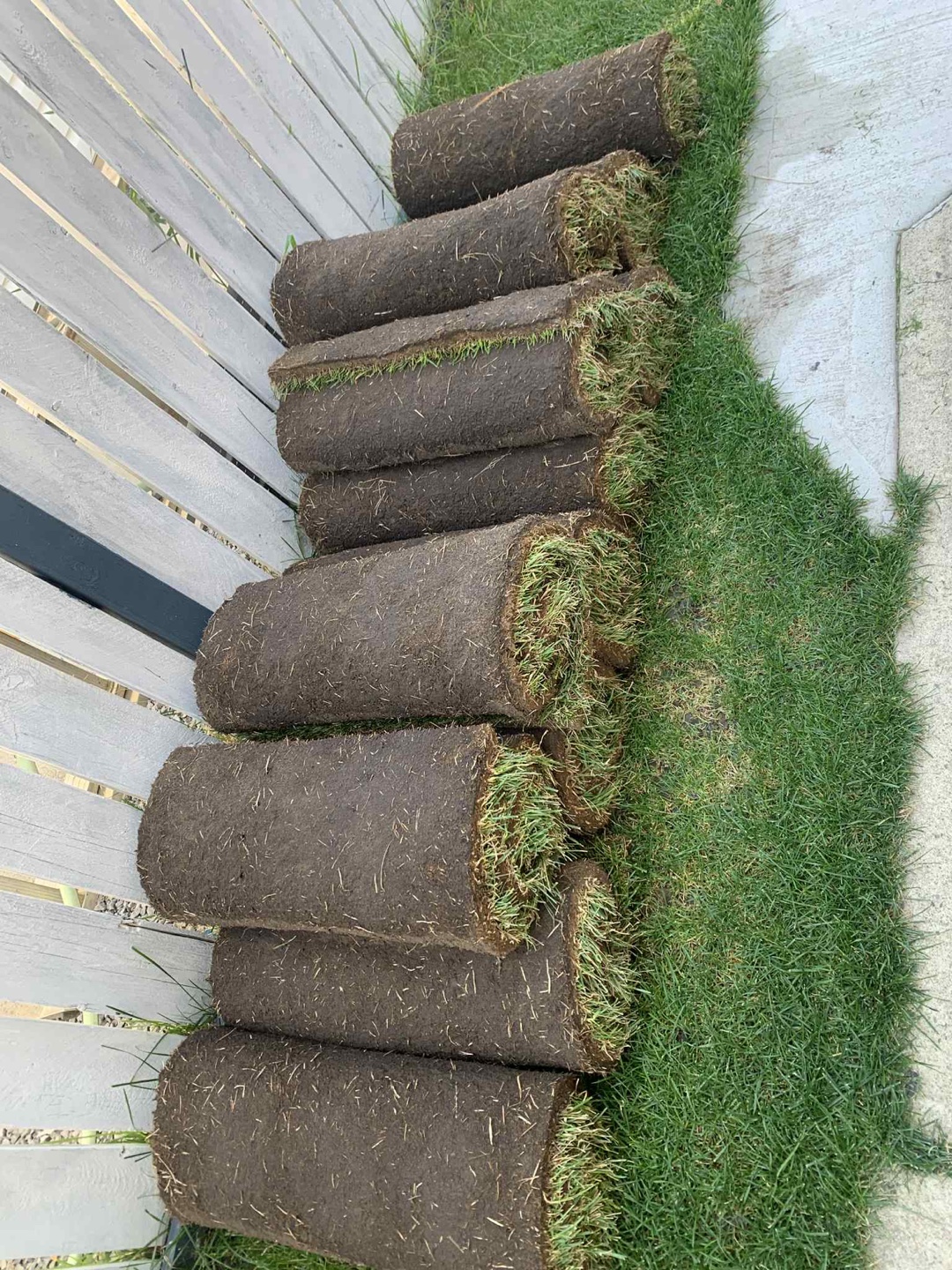 Grass Sod Rolls - Fresh Cut - photo 4