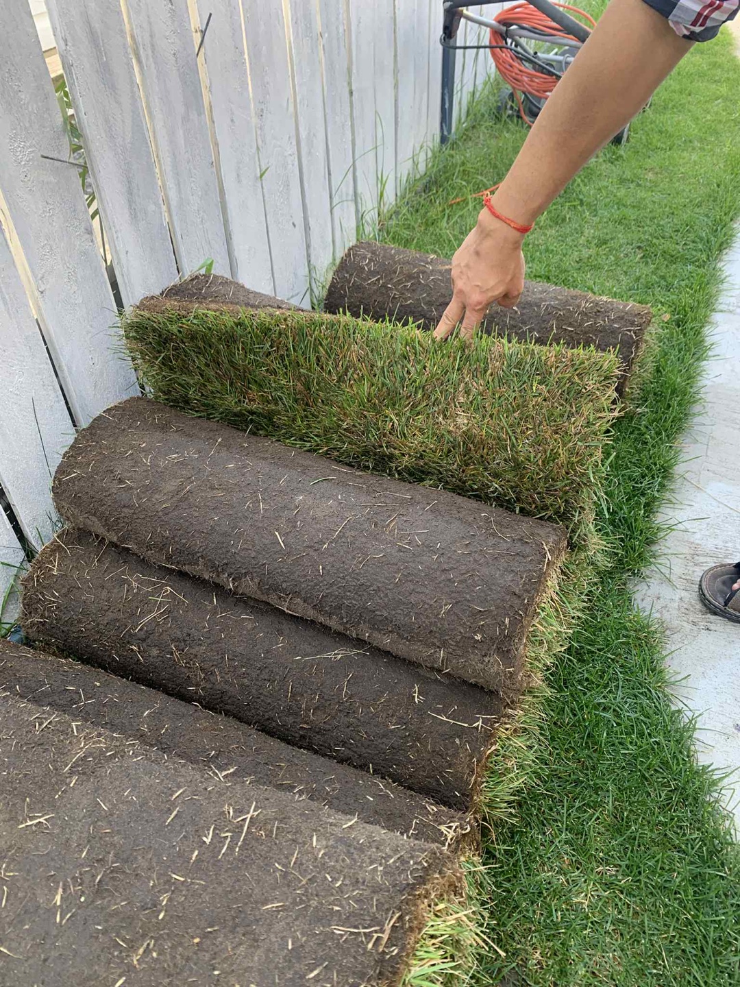 Grass Sod Rolls - Fresh Cut - photo 2
