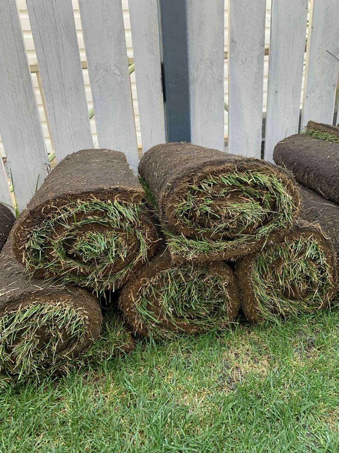Grass Sod Rolls - Fresh Cut - photo 3