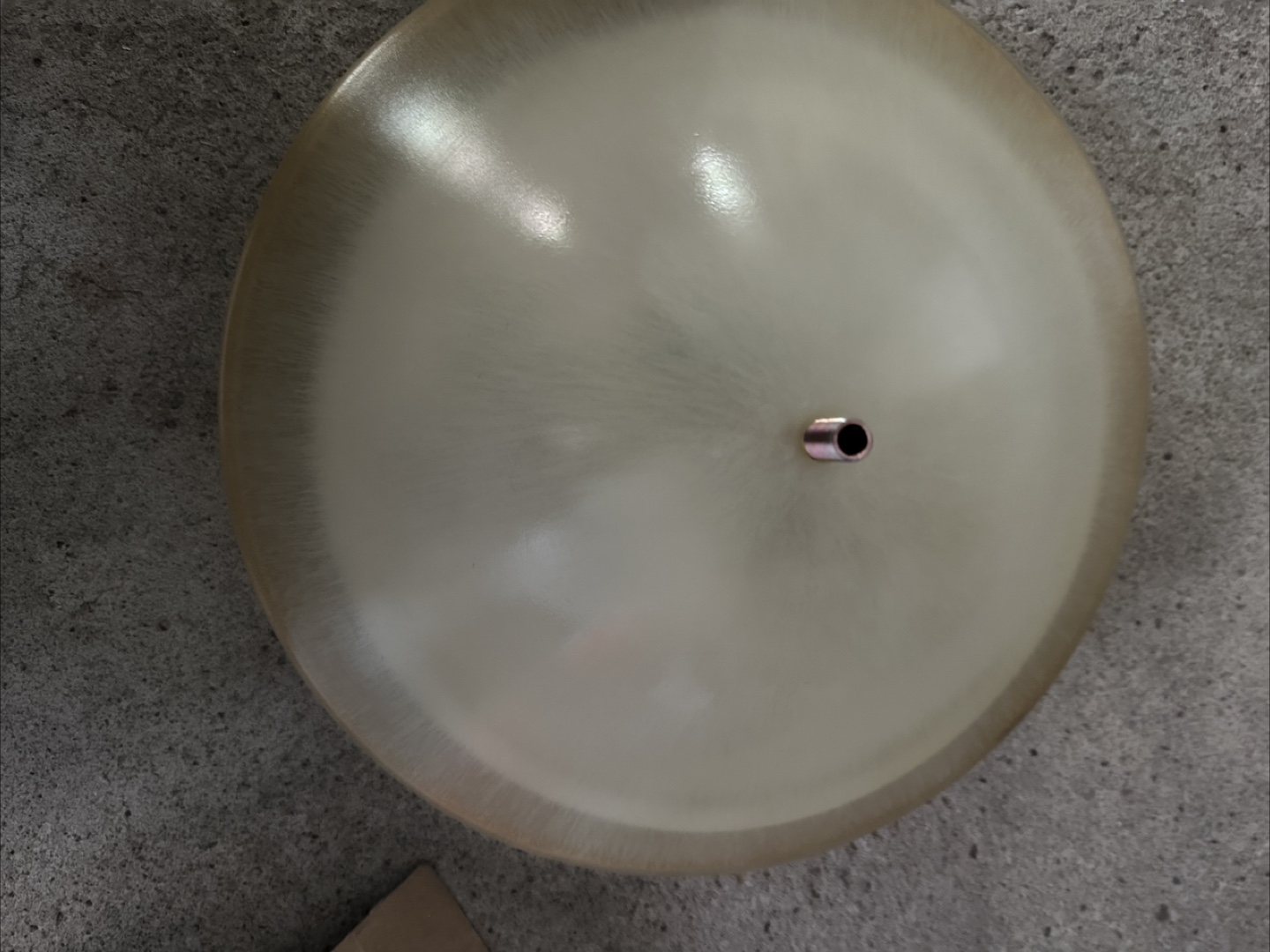 Flush Mount Ceiling Light with Floral Design