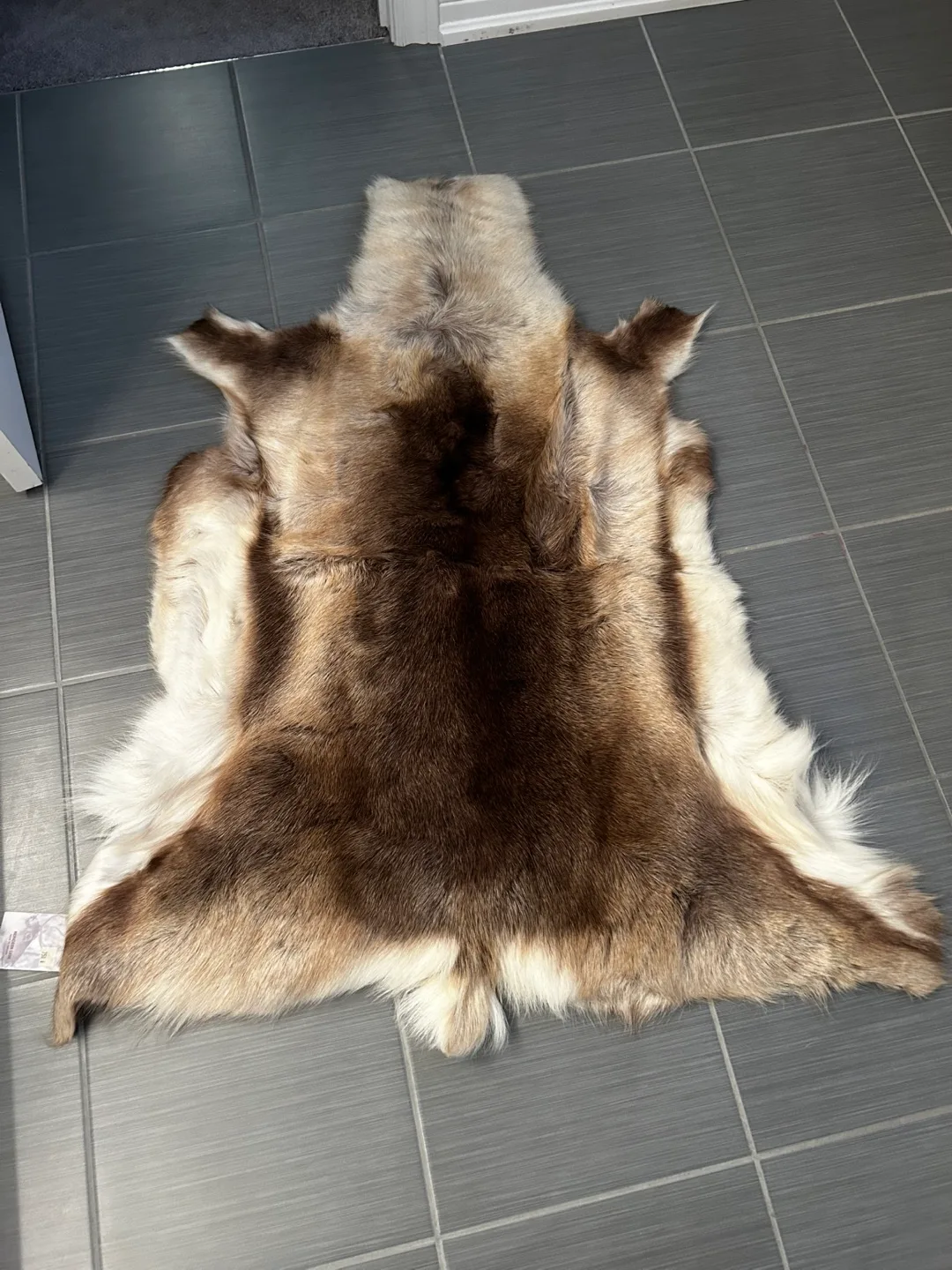 Reindeer Skin Rug - Made in Sweden thumbnail