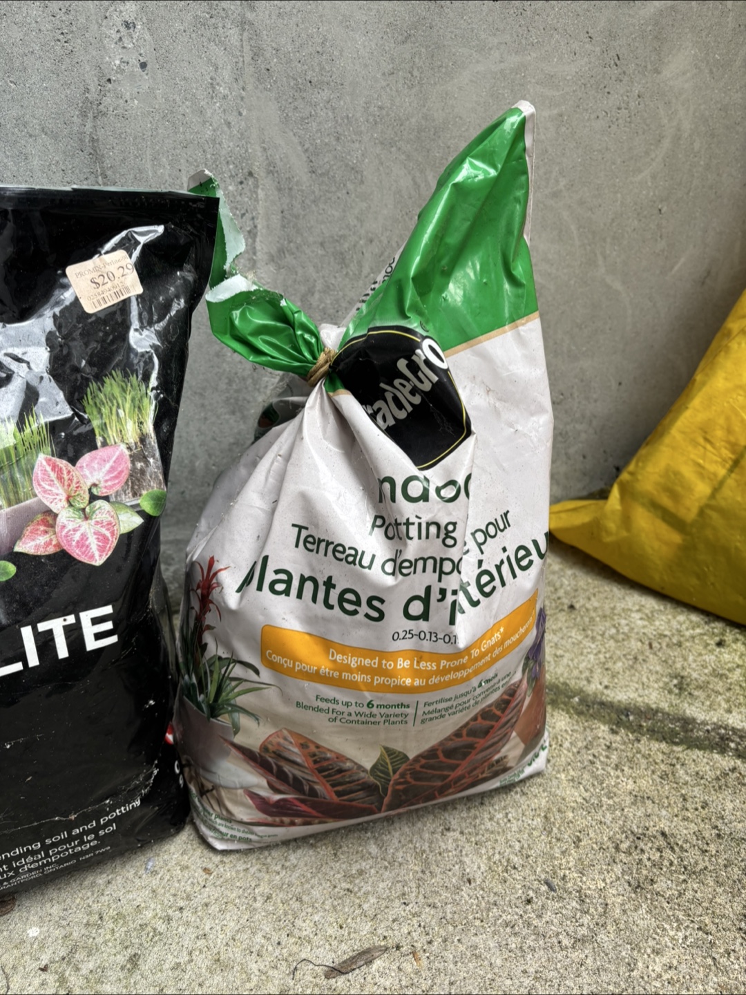 Potting soil - photo 2