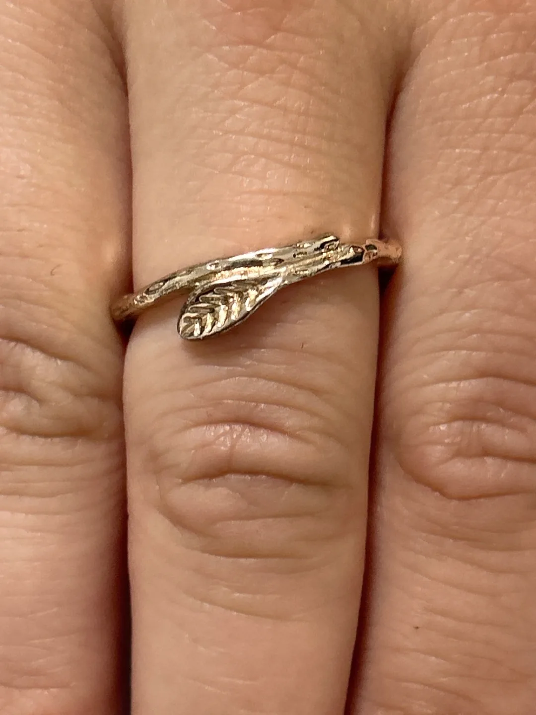 Leaf Ring image indicator(2)