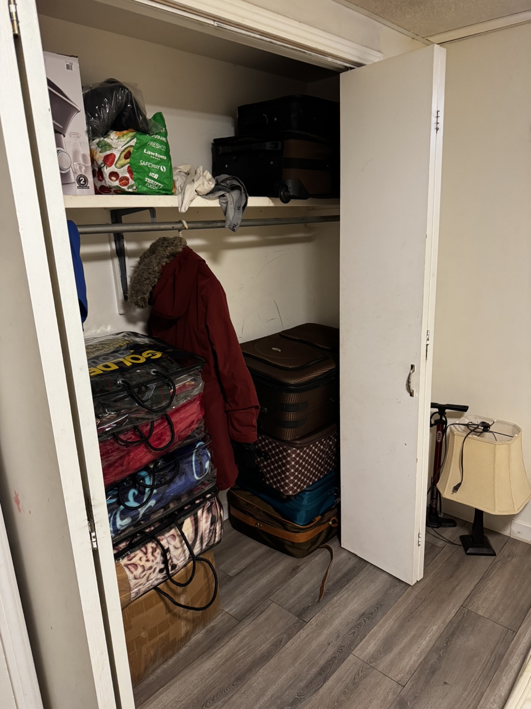 1 Bed 1 Bath Basement Suite for rent - photo 4