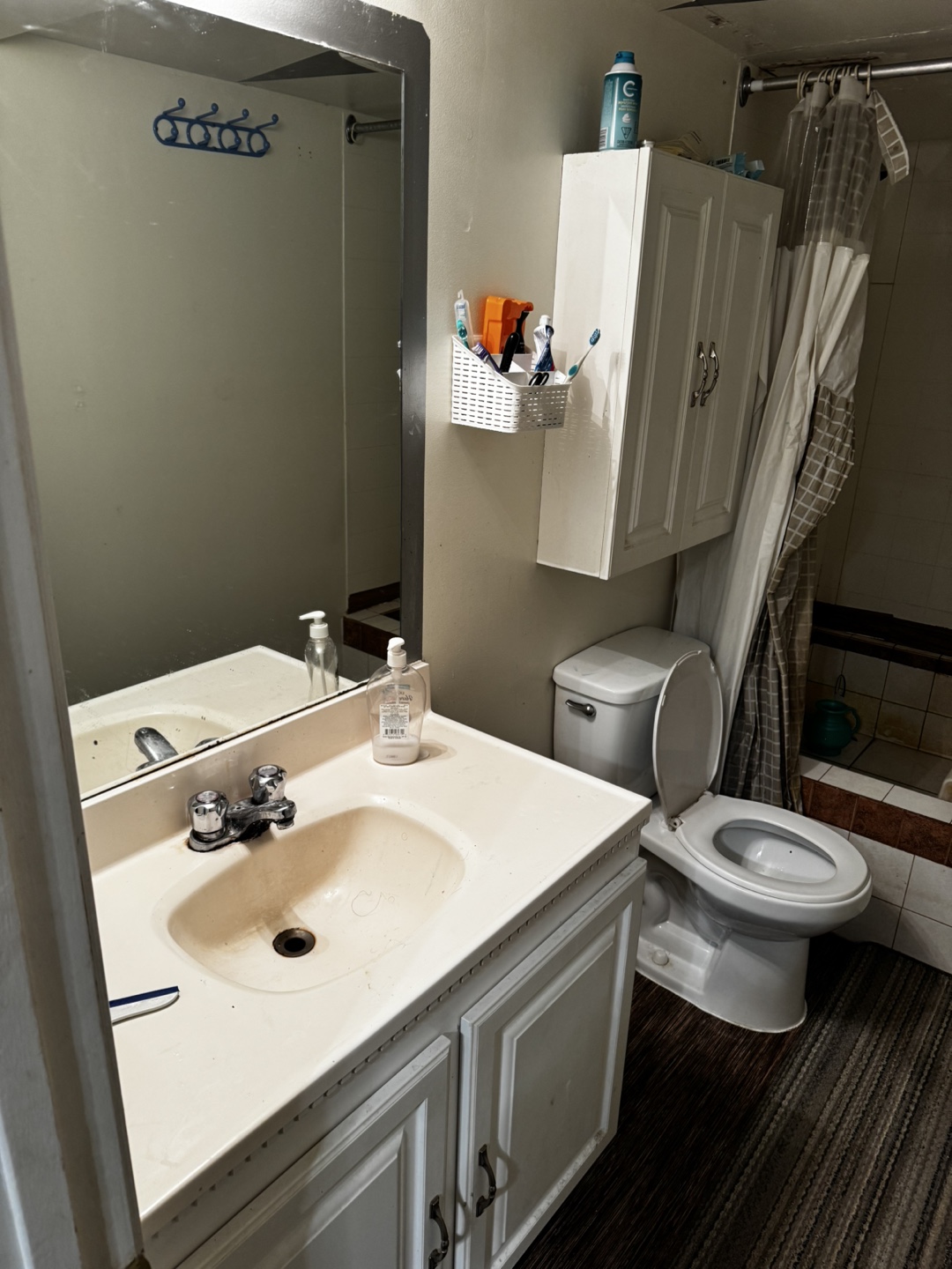 1 Bed 1 Bath Basement Suite for rent - photo 2