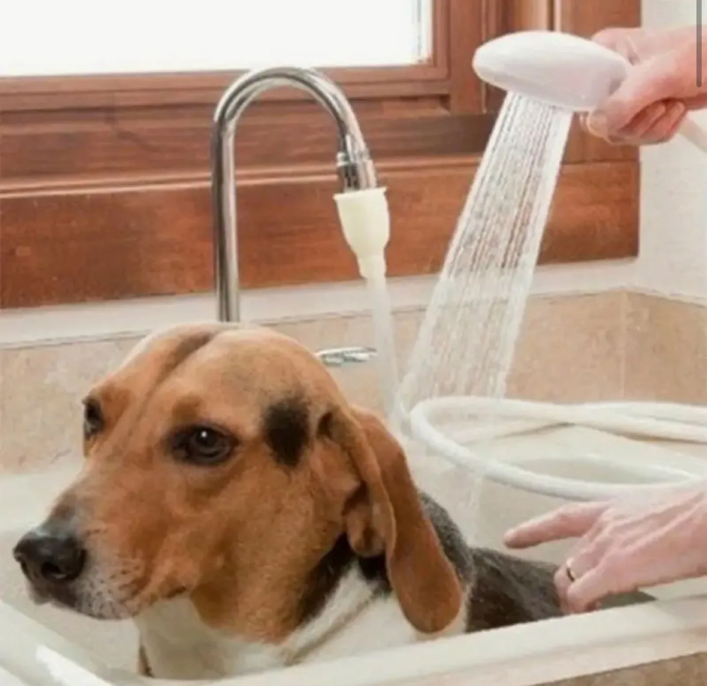 Shower Head/ Sprayer - Faucet Attachment image indicator(3)