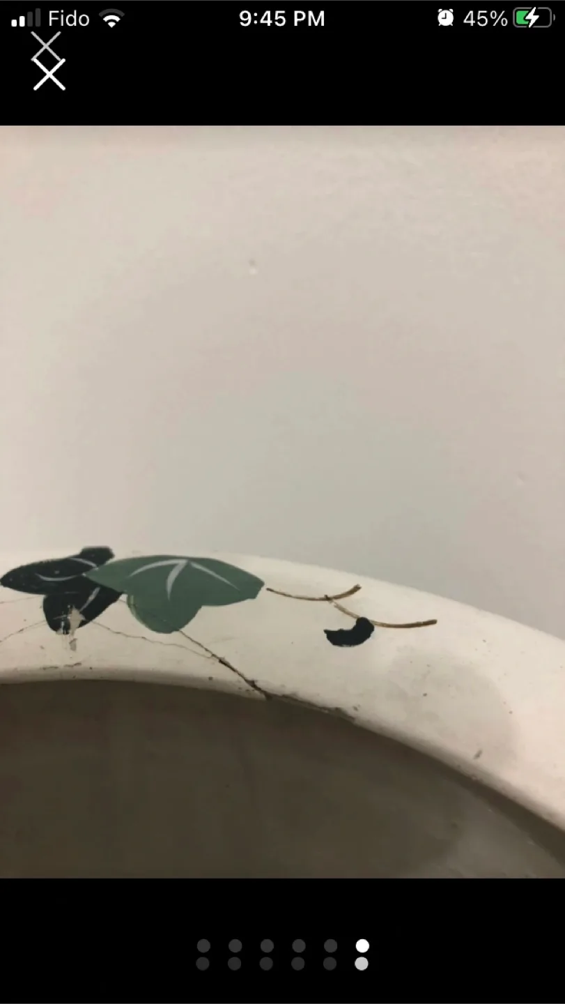 24.5cm medium size flower plant pot@downtown image indicator(6)