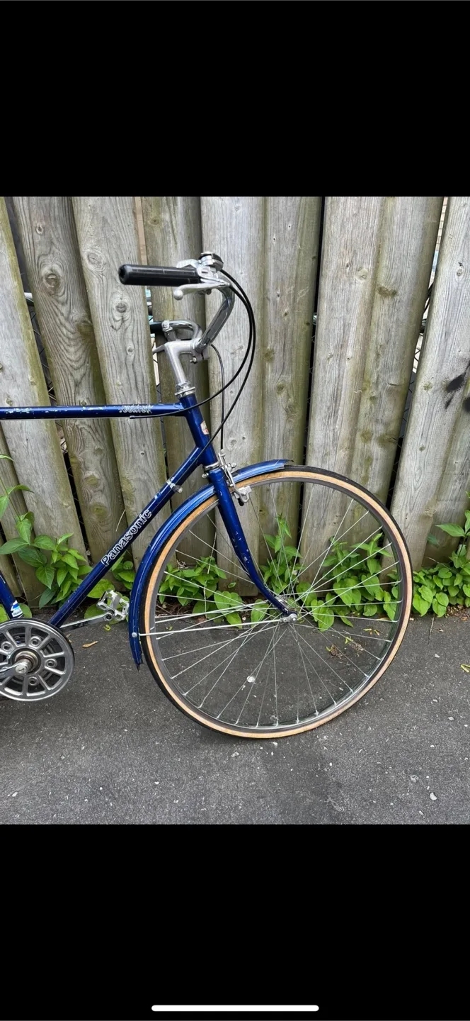 Panasonic Blue Tourist Antique Bicycle image indicator(4)